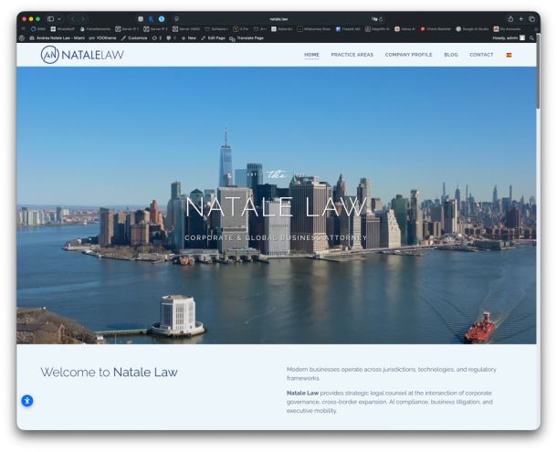 Natale Law provides strategic legal counsel at the intersection of corporate governance, cross-border expansion, AI compliance, business litigation, and executive mobility.